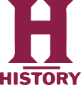 A large, bold maroon letter 